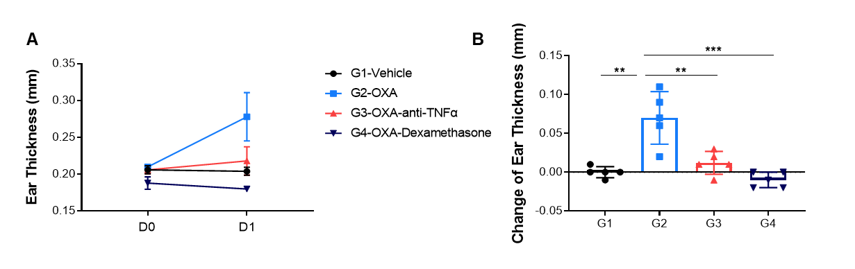 Analysis of characteristics in DTH model 